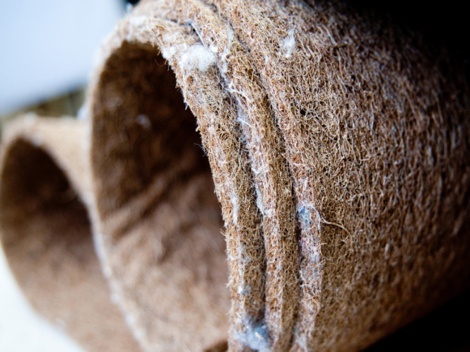 nature.jpg nature.jpg