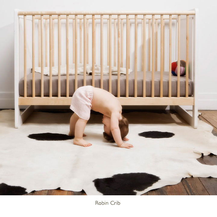 issled.jpg issled.jpg