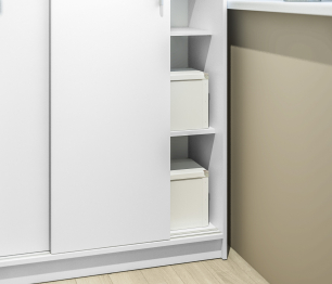 Шкаф-купе 2-х дверный Терра СБ-2545